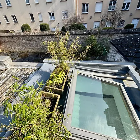 Jungle Studio - 2P A 4P -Henriville Amiens Exterior photo