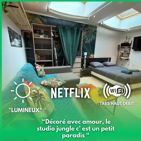 Jungle Studio - 2P A 4P -Henriville Amiens Exterior photo