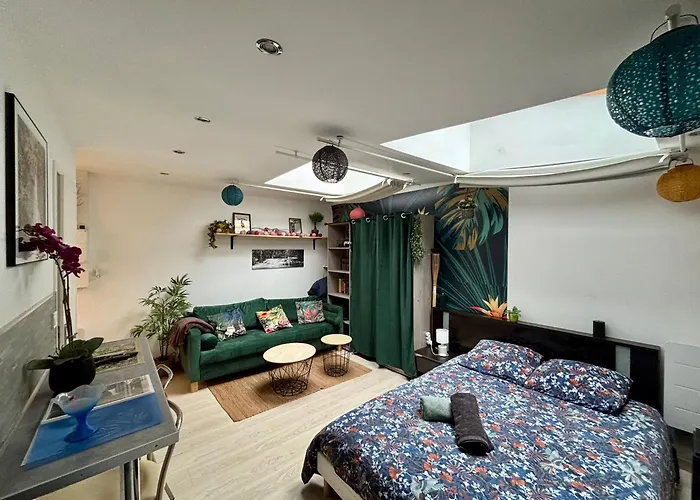 Jungle Studio - 2P A 4P -Henriville