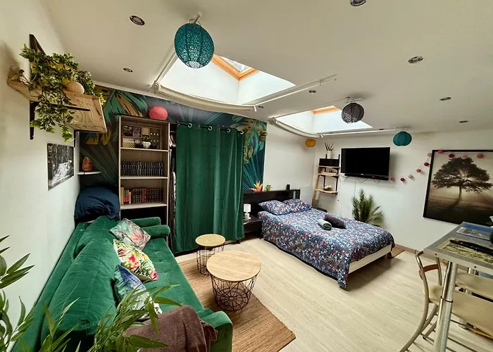 Jungle Studio
