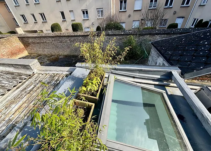 Jungle Studio - 2P A 4P -Henriville