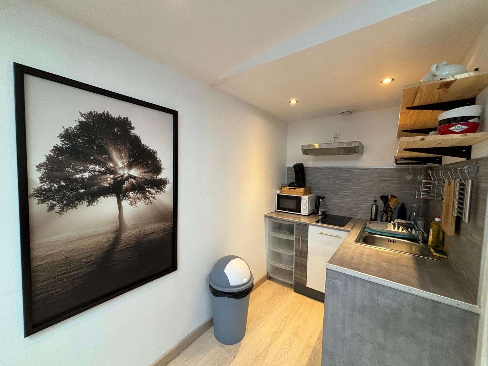 Appartement Jungle - 2p A 4p -henriville Amiens