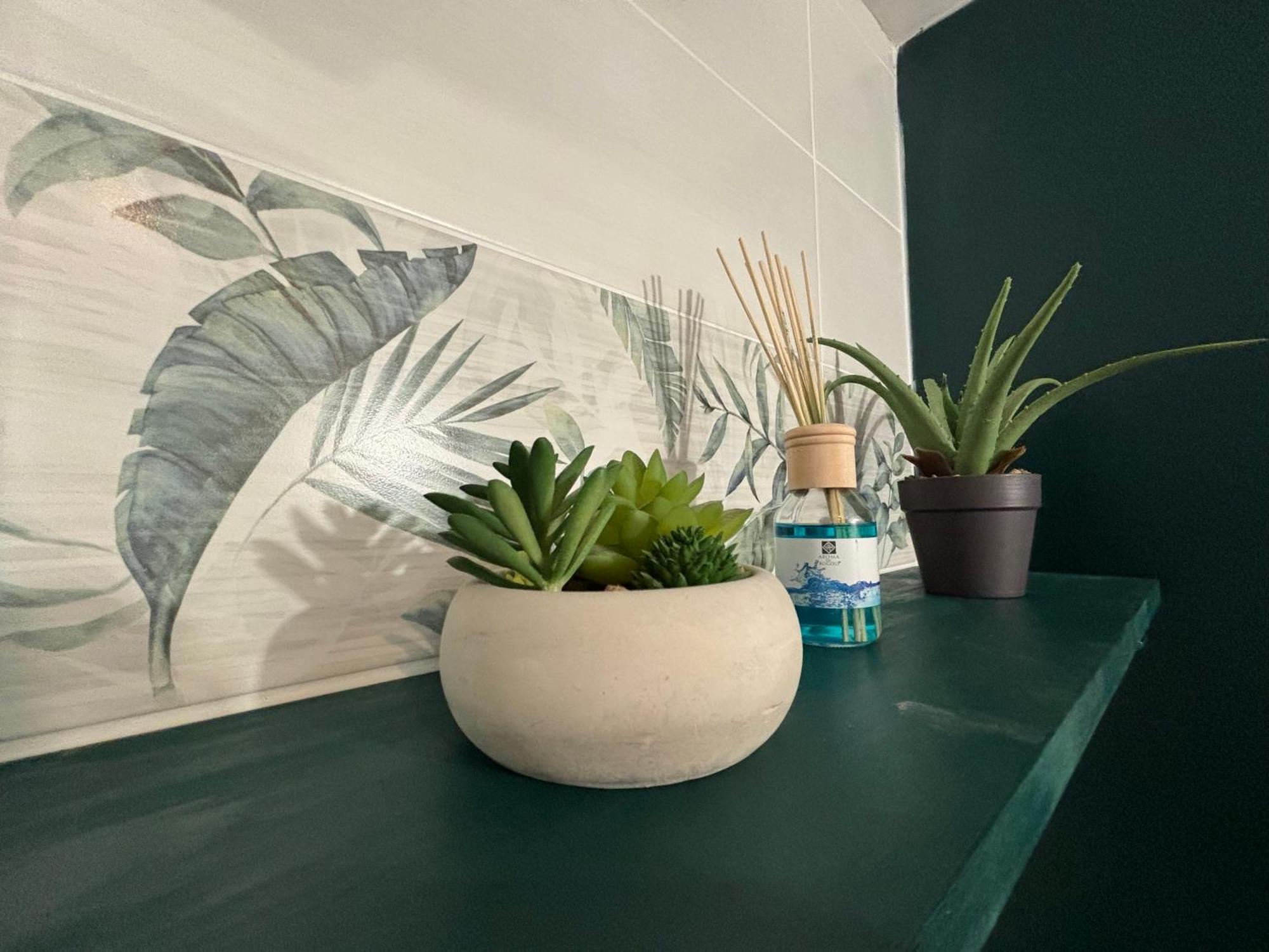 Apartment Jungle