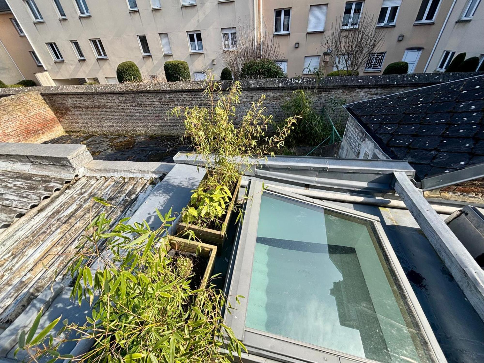 Jungle Amiens